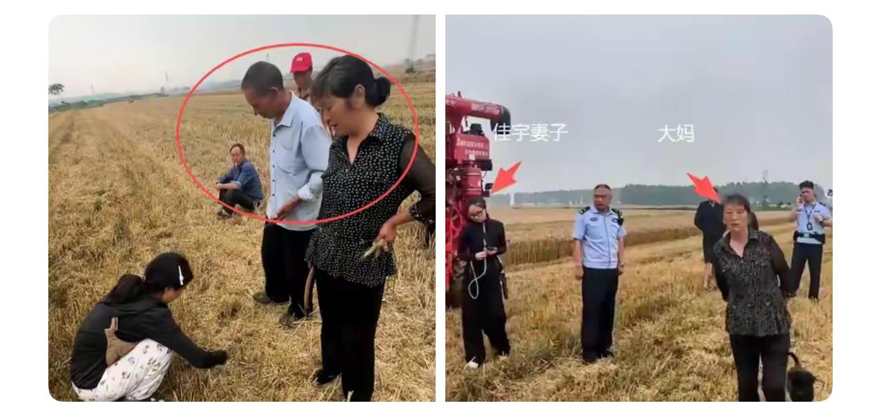 作为湖北人，我得说句公道话，这位大娘的子女你们自己看着办！


农机手体谅你家中
