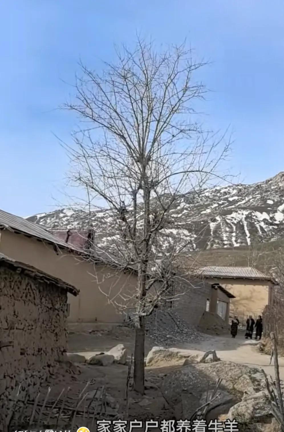 俞敏洪真的是个厉害的人，前段时间有网友质疑俞敏洪明明是在乌兹别克斯坦，为啥账号地