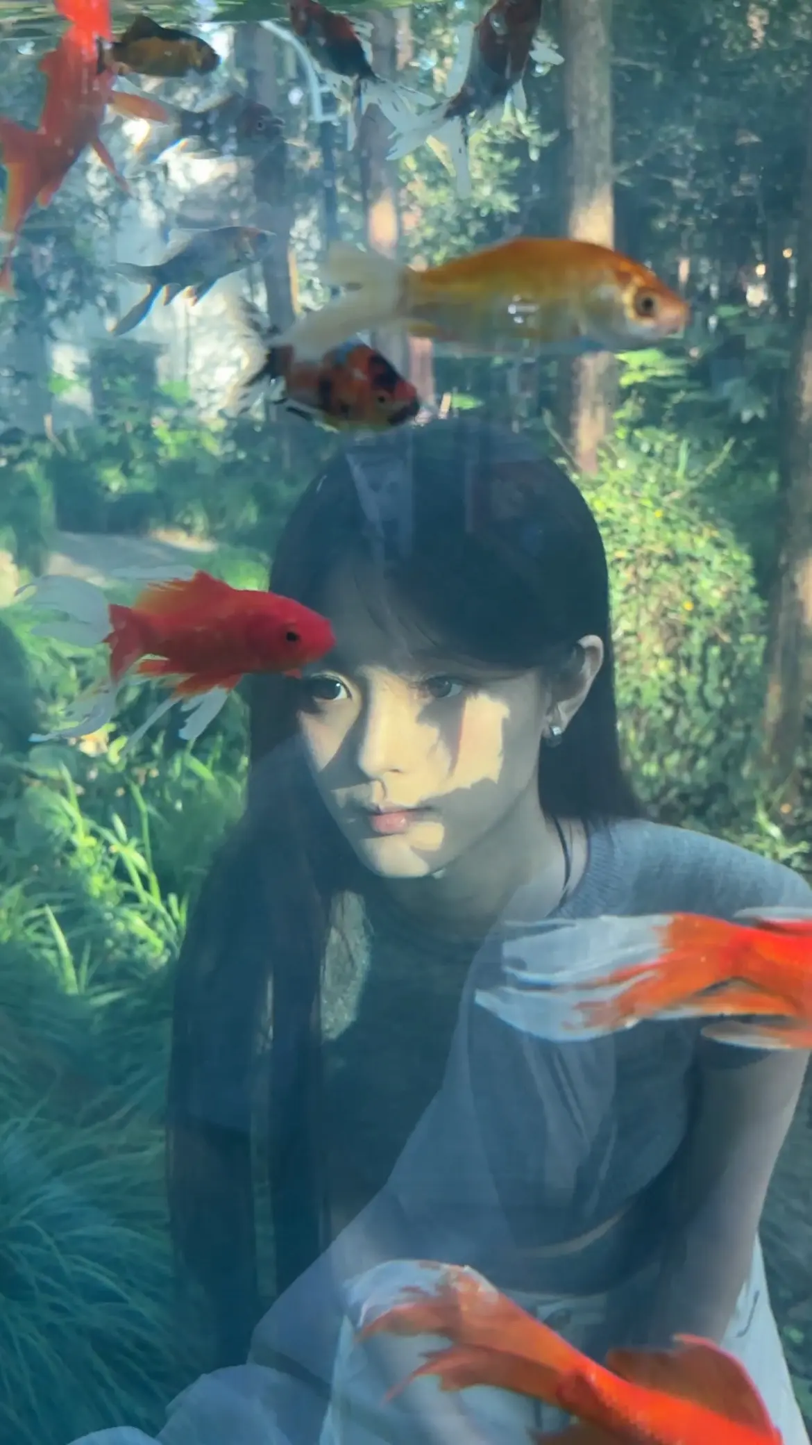 金牛