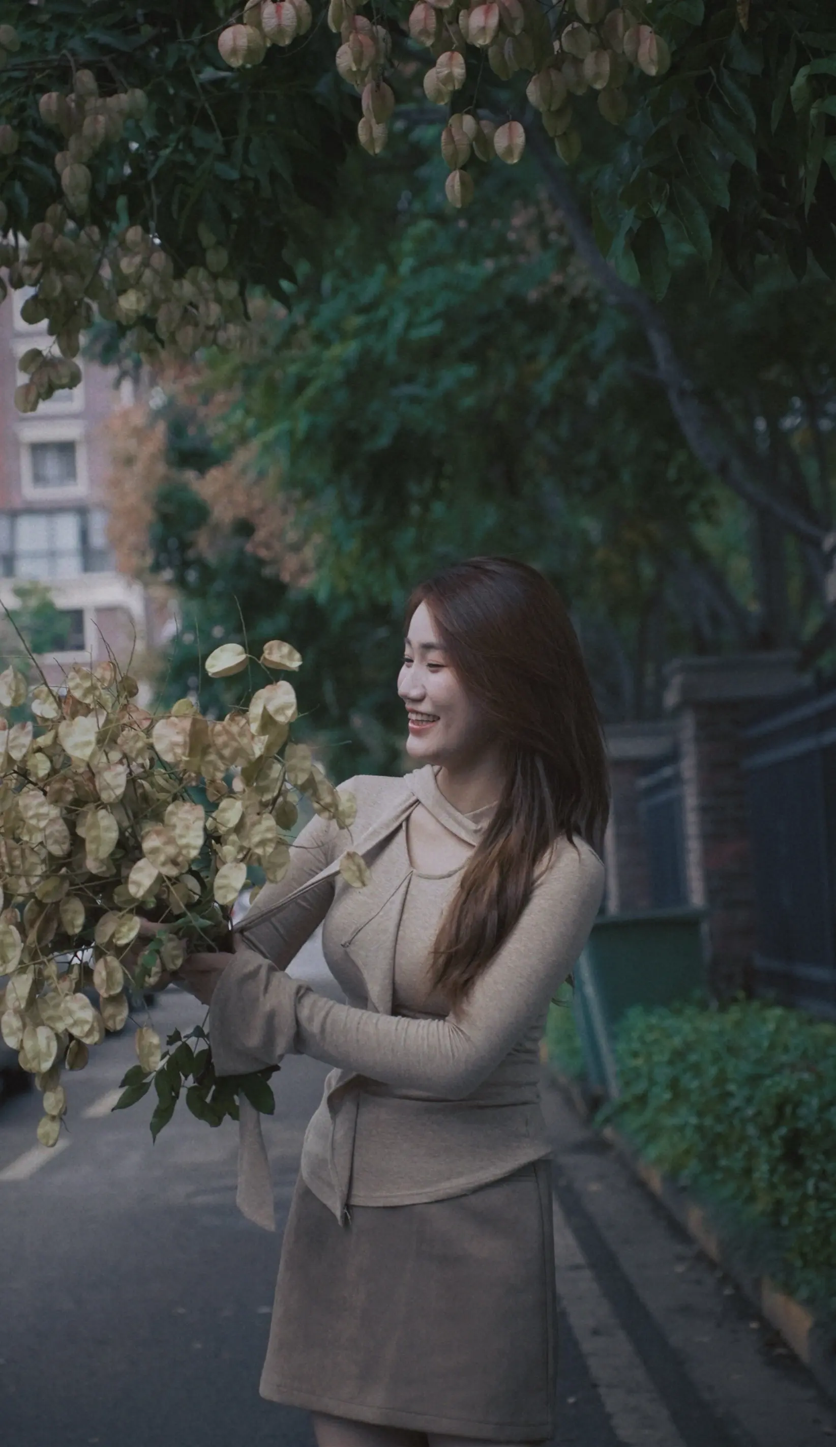 秋日来信，栾树花开。终于赶在国庆假期的末尾，拍到了栾树。🍂📷