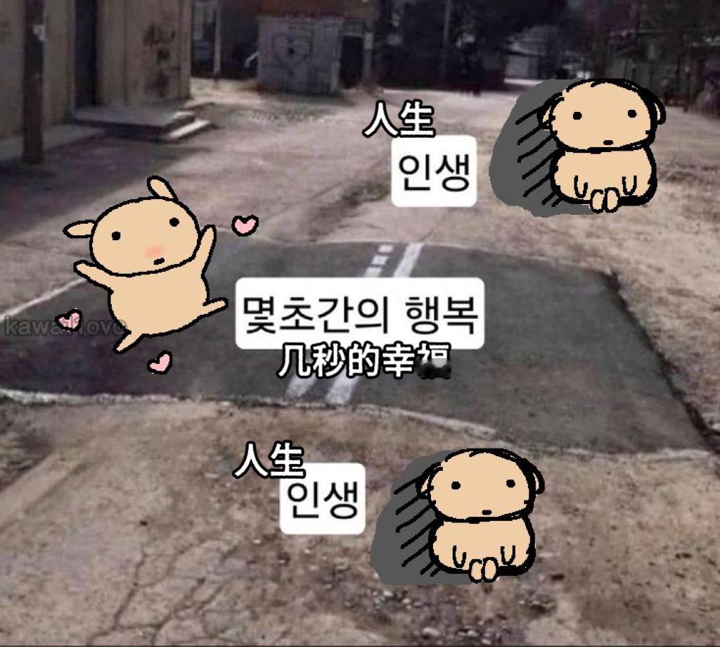 韩国小狗梗图 ​​​
