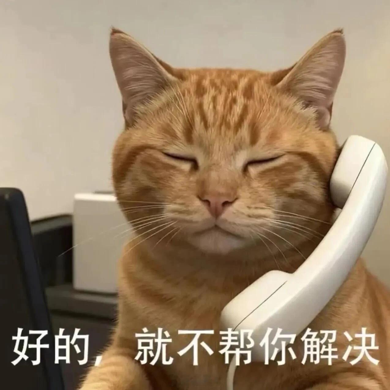 有时候时尚这个东西吧…emm我只能说天资真的是很残忍的东西 