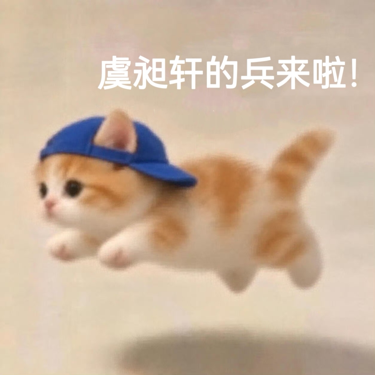 丞磊虞昶轩 cl丞磊 📪玉簟秋虞昶轩记事本关于虞昶轩1⃣各个pt评论区打全名虞