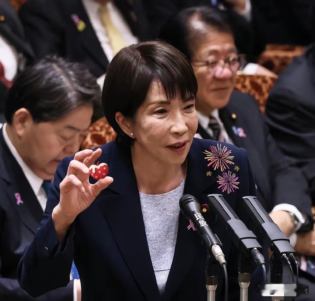 日本再一次惨遭打脸！
12月9日，日本防卫大臣小泉进次郎公然声称日方未曾收到中方