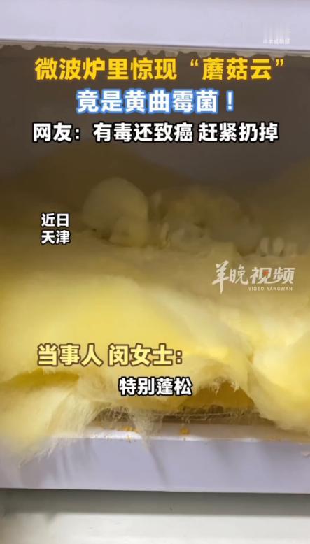 “解释不清了！”近日，天津，一女子要用微波炉，打开后却看到一团黄色的“蘑菇云”，