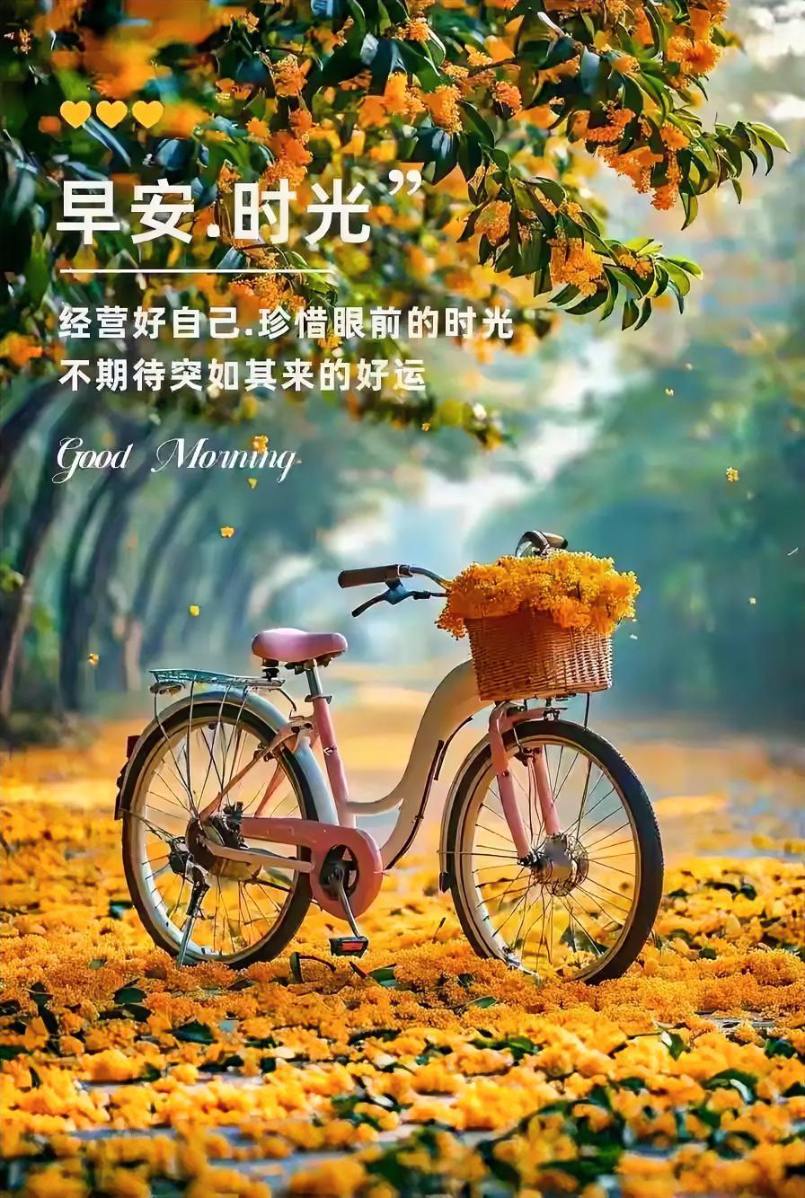 粉色单车撞进金黄花海，装满秋日浪漫！不期待好运，经营好自己，早安～