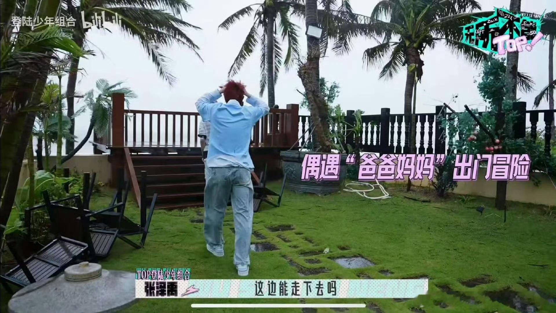 张泽禹张极团综一间房张泽禹张极团内爸妈出门冒险 同房即默契暴击！“爸妈组”互怼又