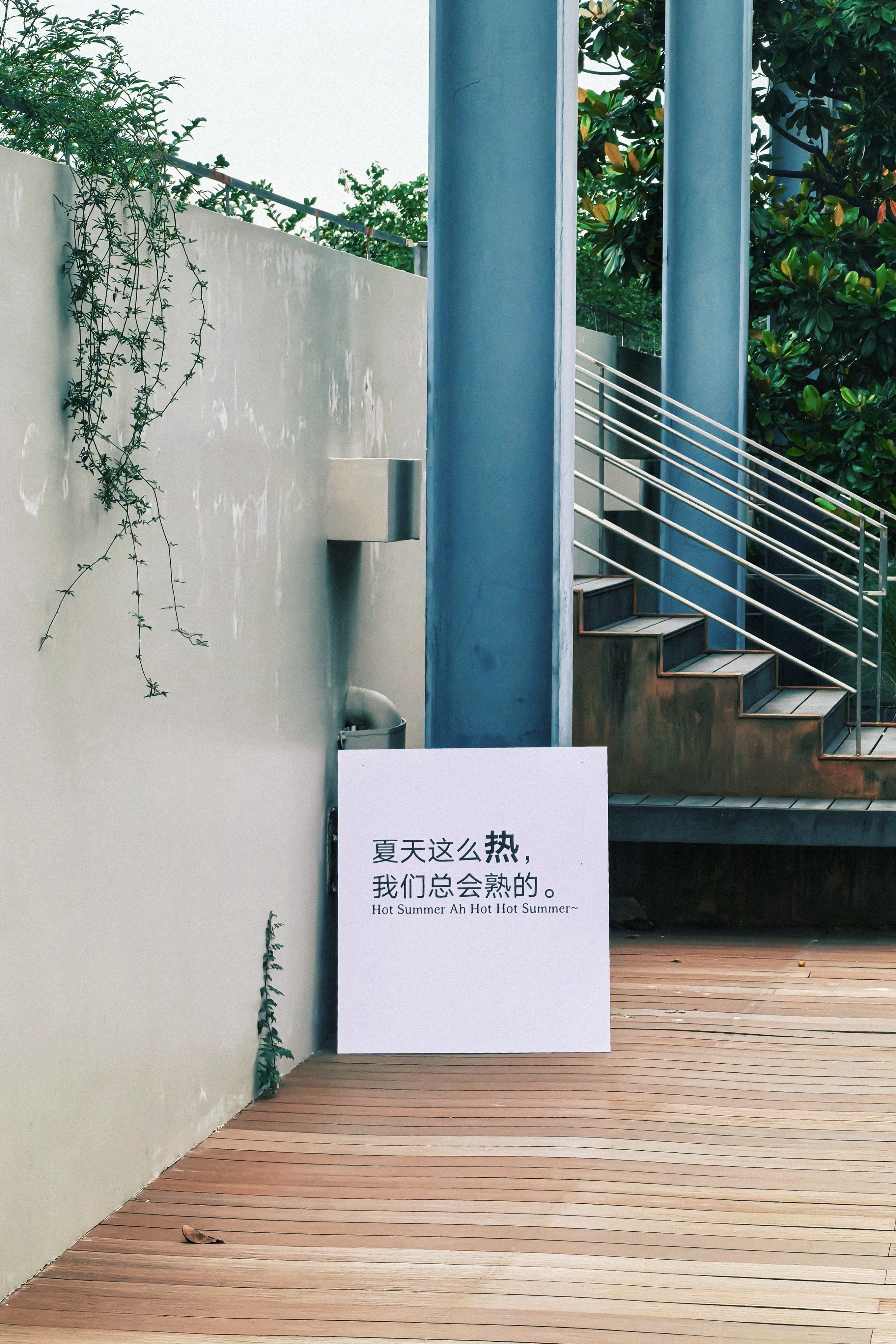 分享图片 