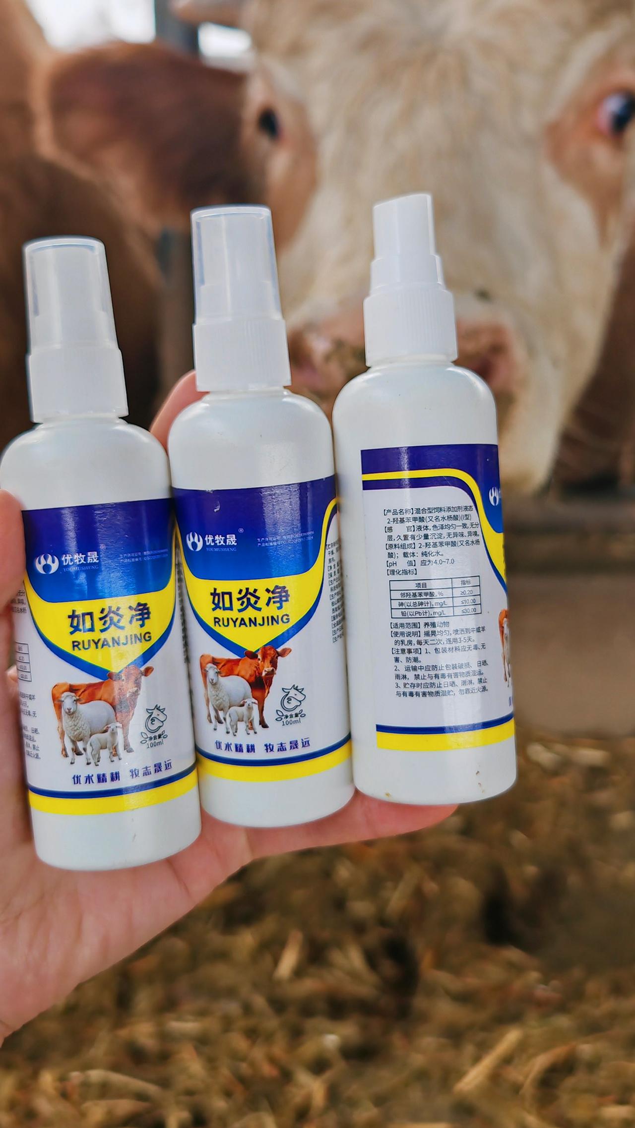 养羊人 农村养羊 牛羊养殖