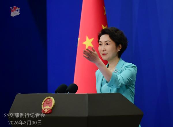 巴基斯坦外长达尔周末在伊斯兰堡与土耳其、埃及和沙特的高级外交官会晤后，提出可在巴