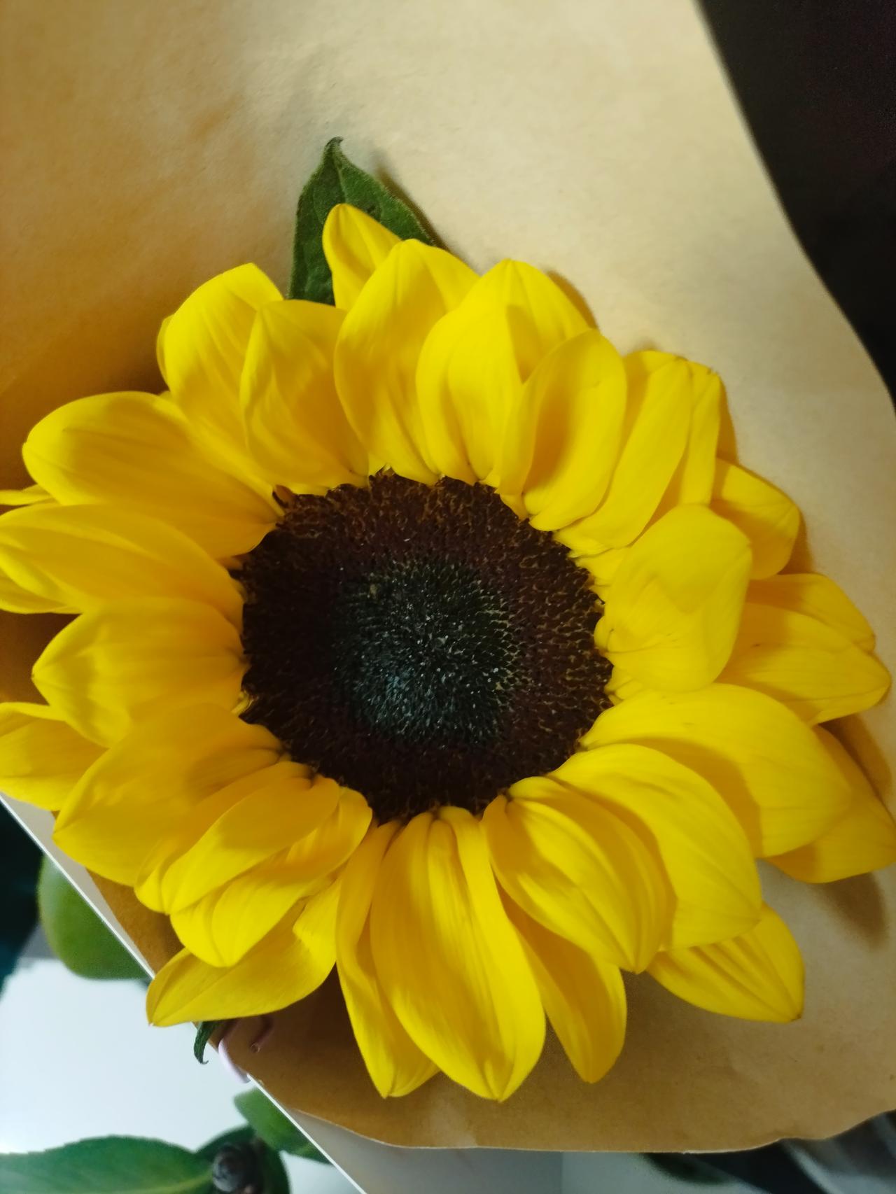 昨天，
一个很好的朋友离婚了，
玩的好的三个中，
她是身材最好，最漂亮的，
三年