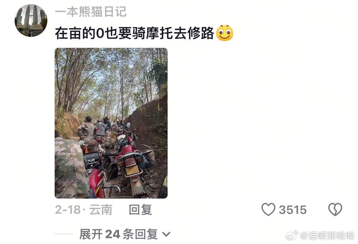 别问属性，问就是能抗能打 