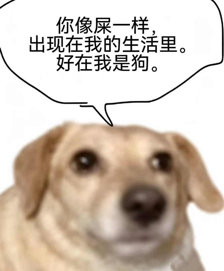 🐶 