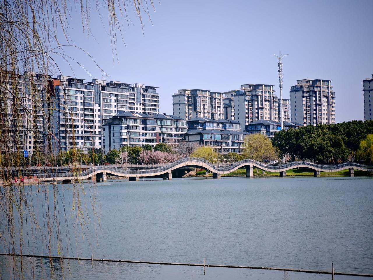 春日生活打卡季