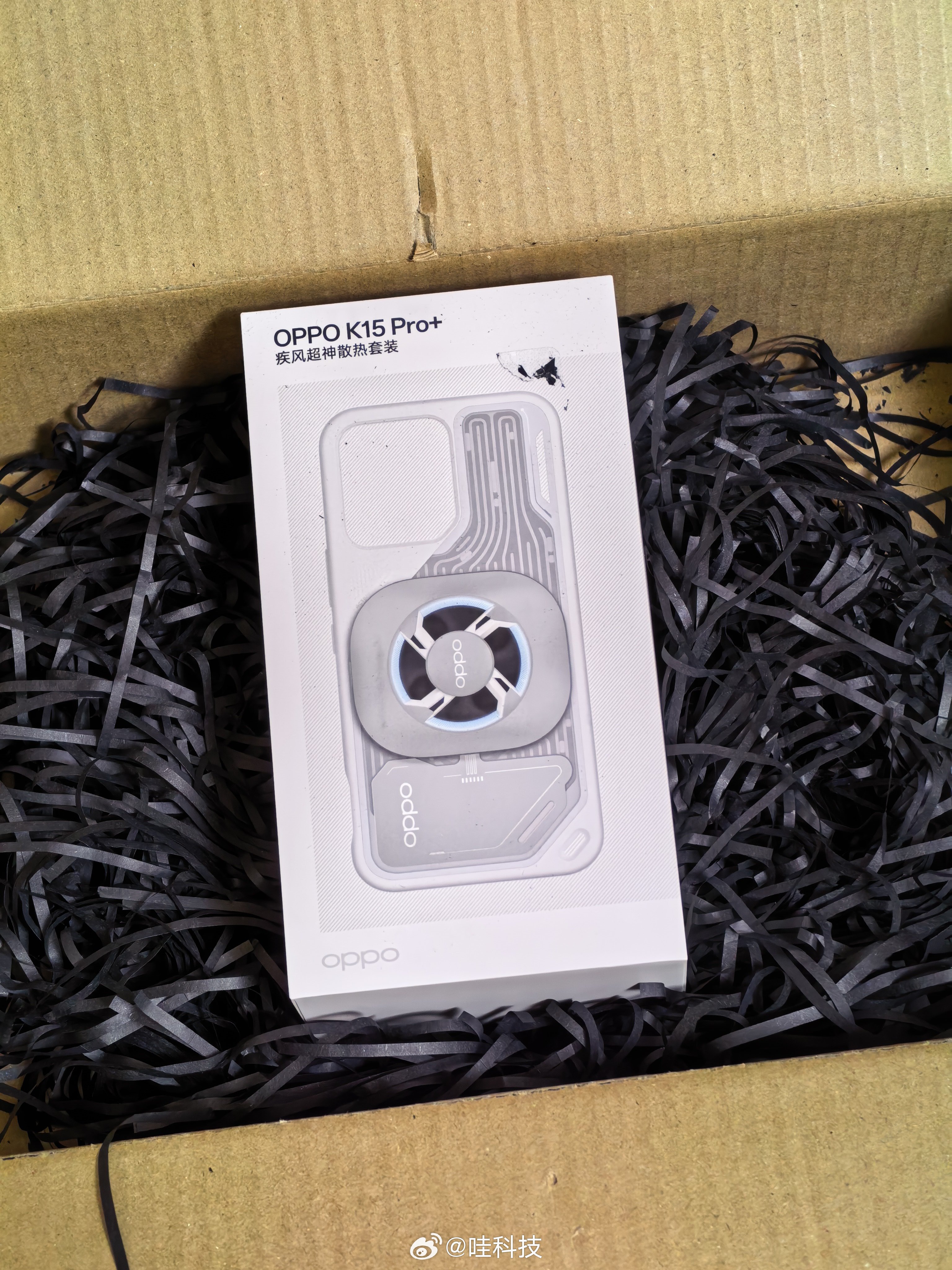 得物给我寄了什么？原来是OPPO K15 Pro系列新品发布会的邀请函，得物定制