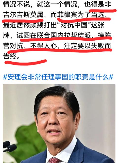 菲律宾争夺安理会非常任理事国席位以失败告终，有人说，联大投票结果是“142票对4