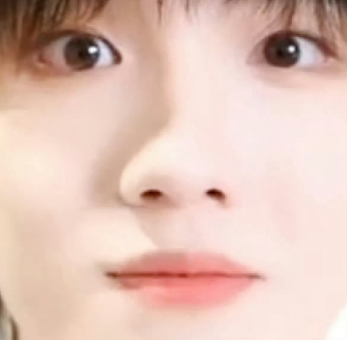 【4546】想念一个球球🥺 