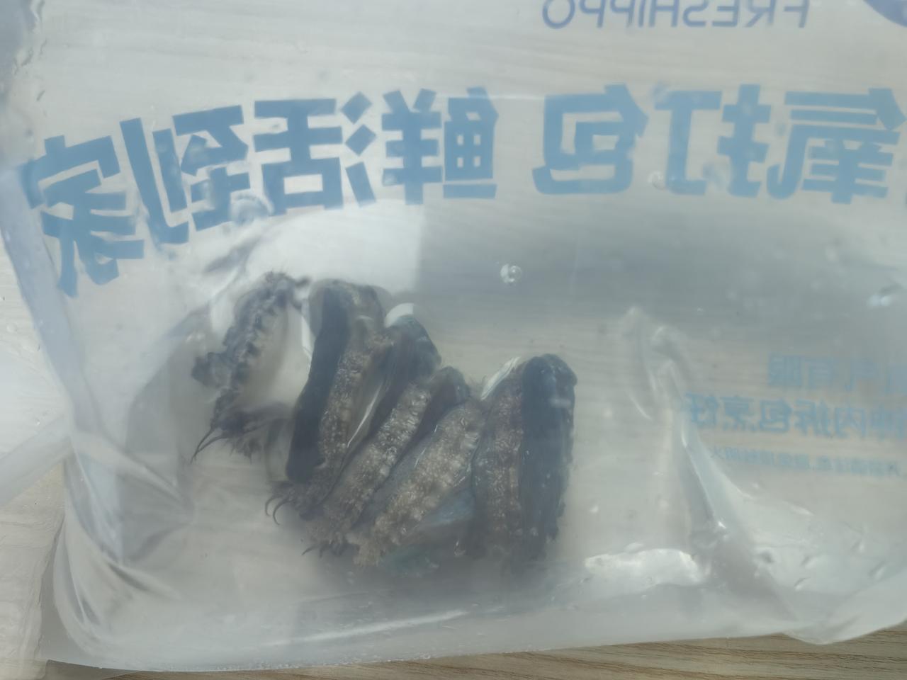 「闲赴山海，静守居家，日子自在舒心」
 — 姥姥手记 2026.6.23
今日北