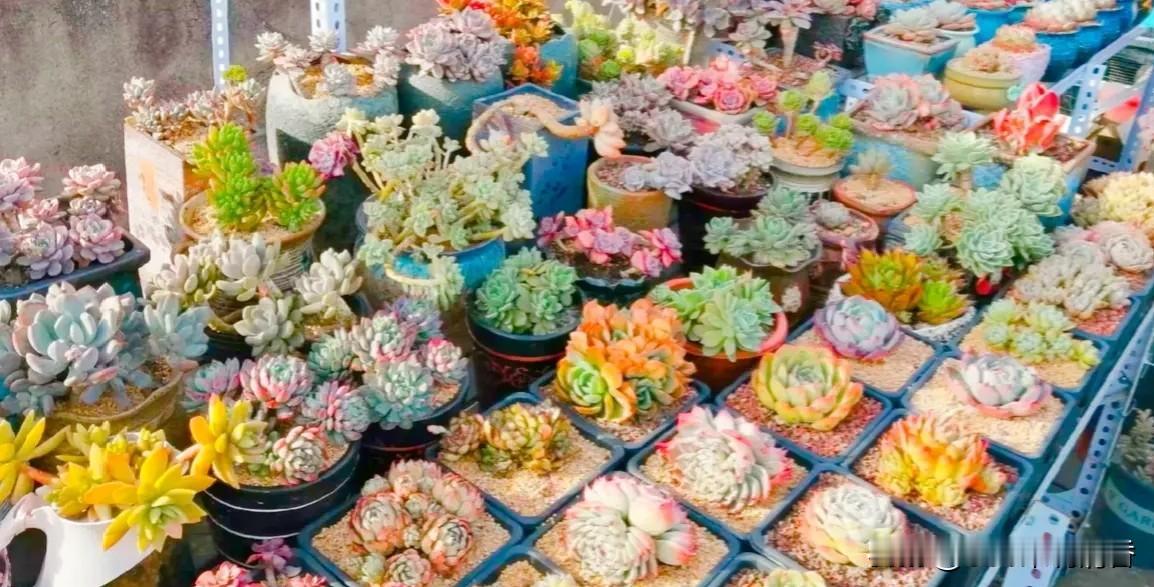 一晃到8月31日，本月收官！
不知不觉，一年大半的时光已悄悄溜走，时间真的不经熬