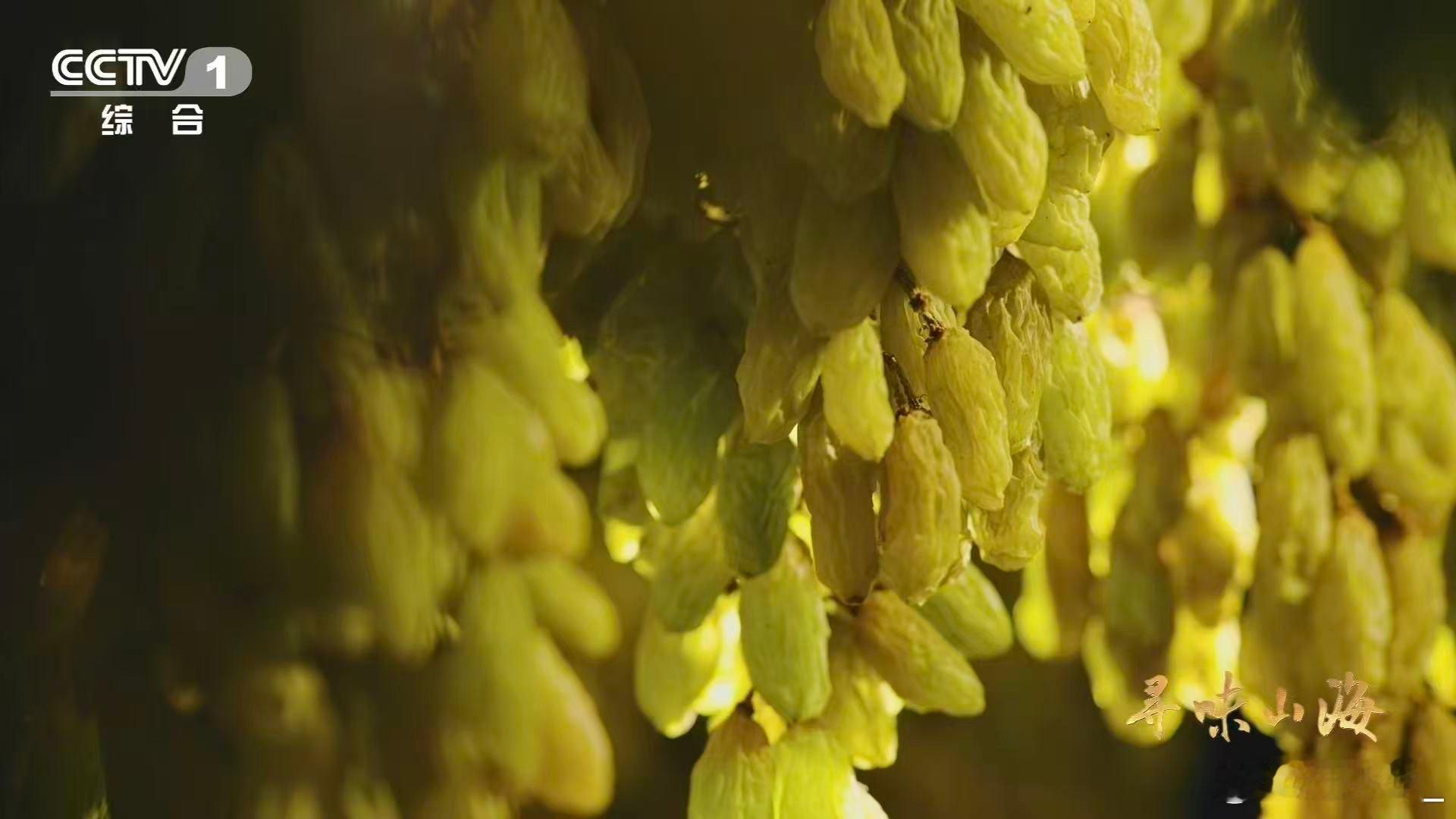 10颗葡萄干里9颗来自吐鲁番吐鲁番有500余种葡萄干 吐鲁番的葡萄干，甜而不腻，