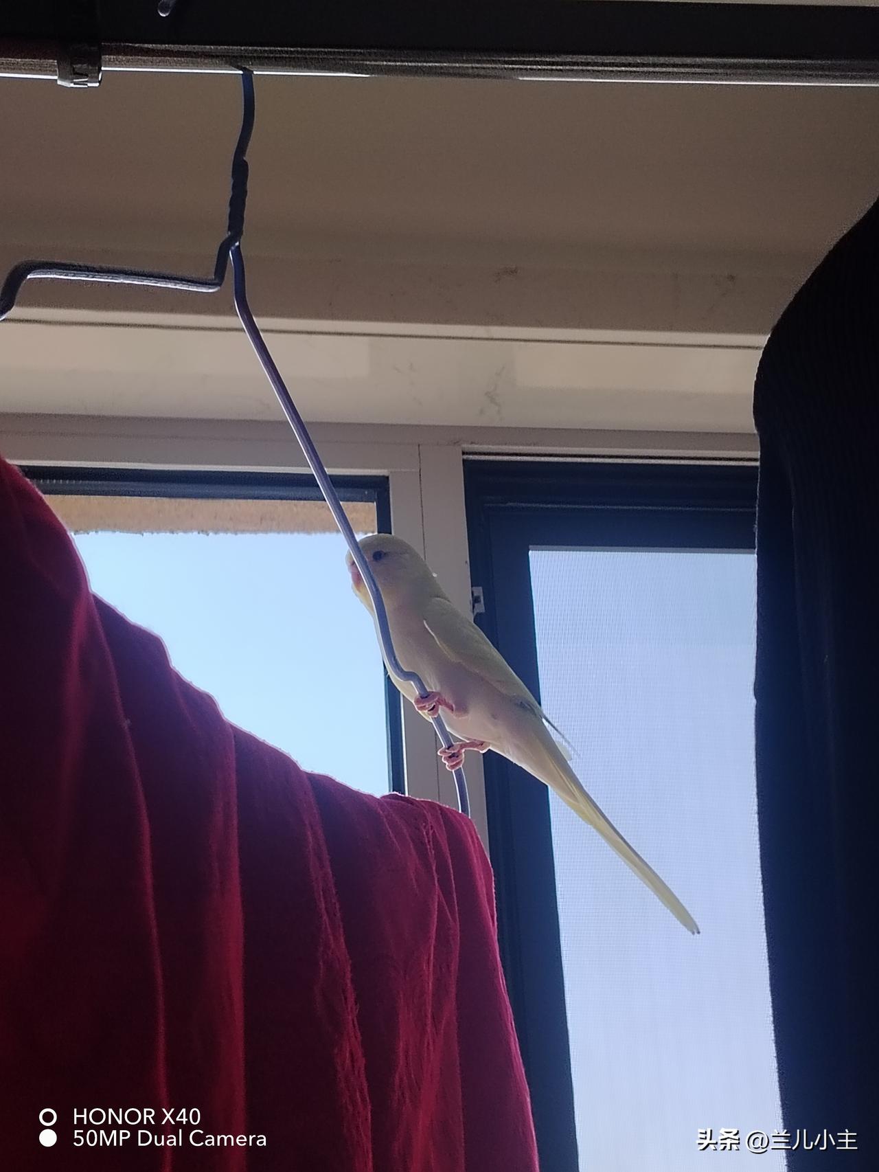 今天真暖和，所以窝在家里两天的我决定出门了。今天去闺女家，看看她的小鸟长大了没？