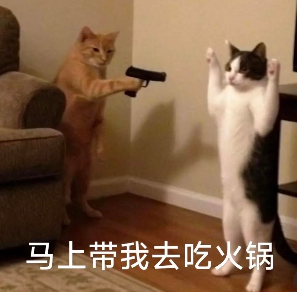 深圳火锅店承包咯，排队两小时也要吃上！耳边粤语环绕，跨城奔赴一顿火锅，这美食吸引