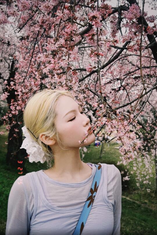 空气是樱花味的🌸日本樱花开了～