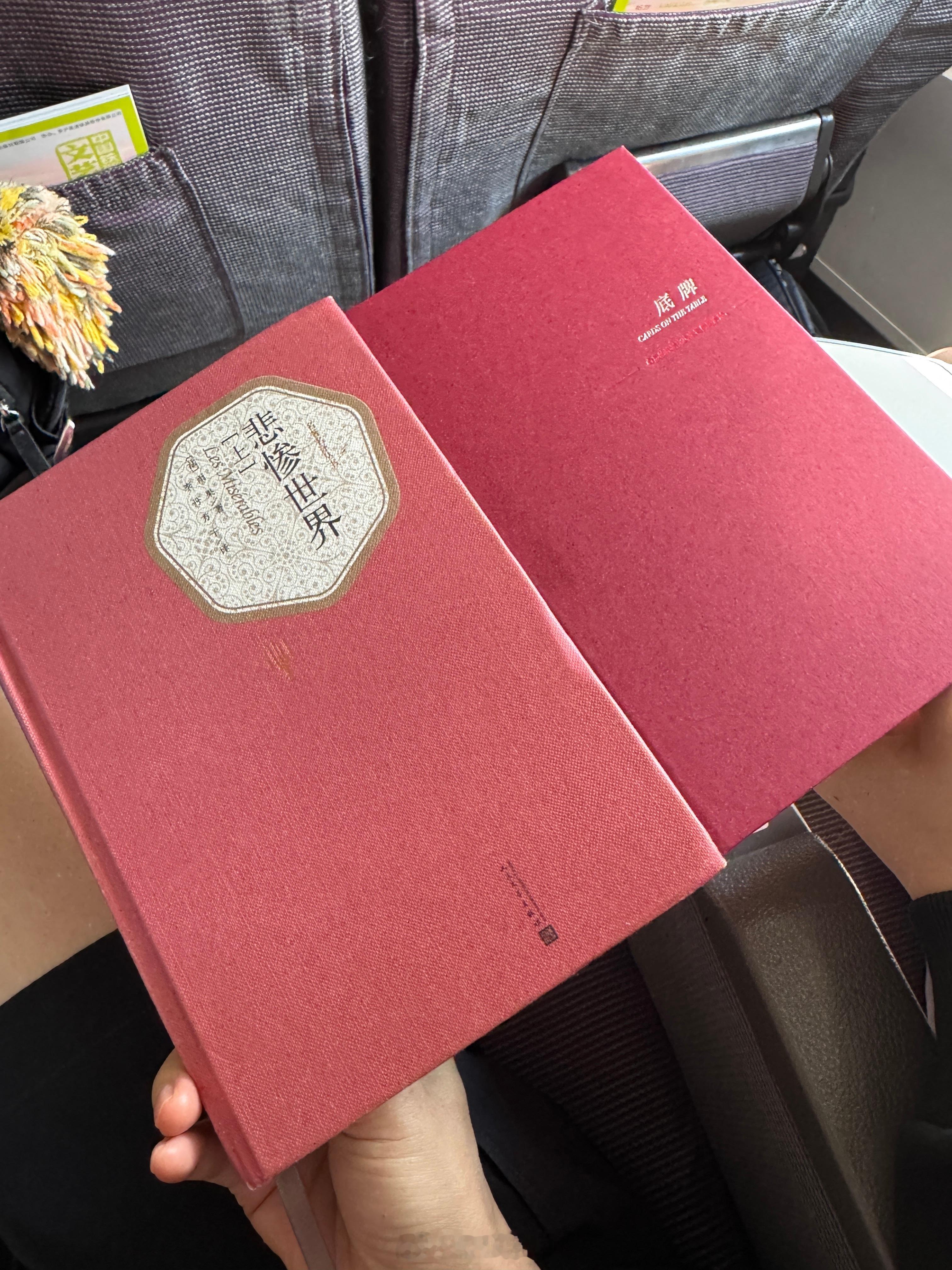 高铁上了～我和小菲姐都带了书封面颜色还挺接近 