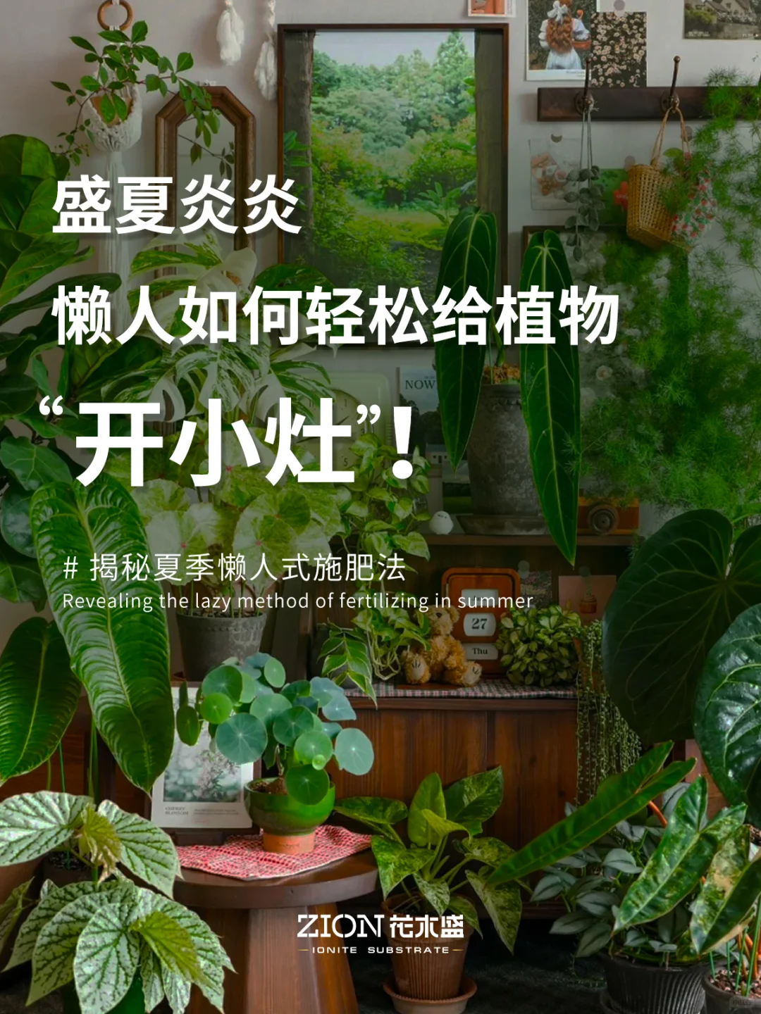 盛夏炎炎，懒人如何轻松给植物“开小灶”！