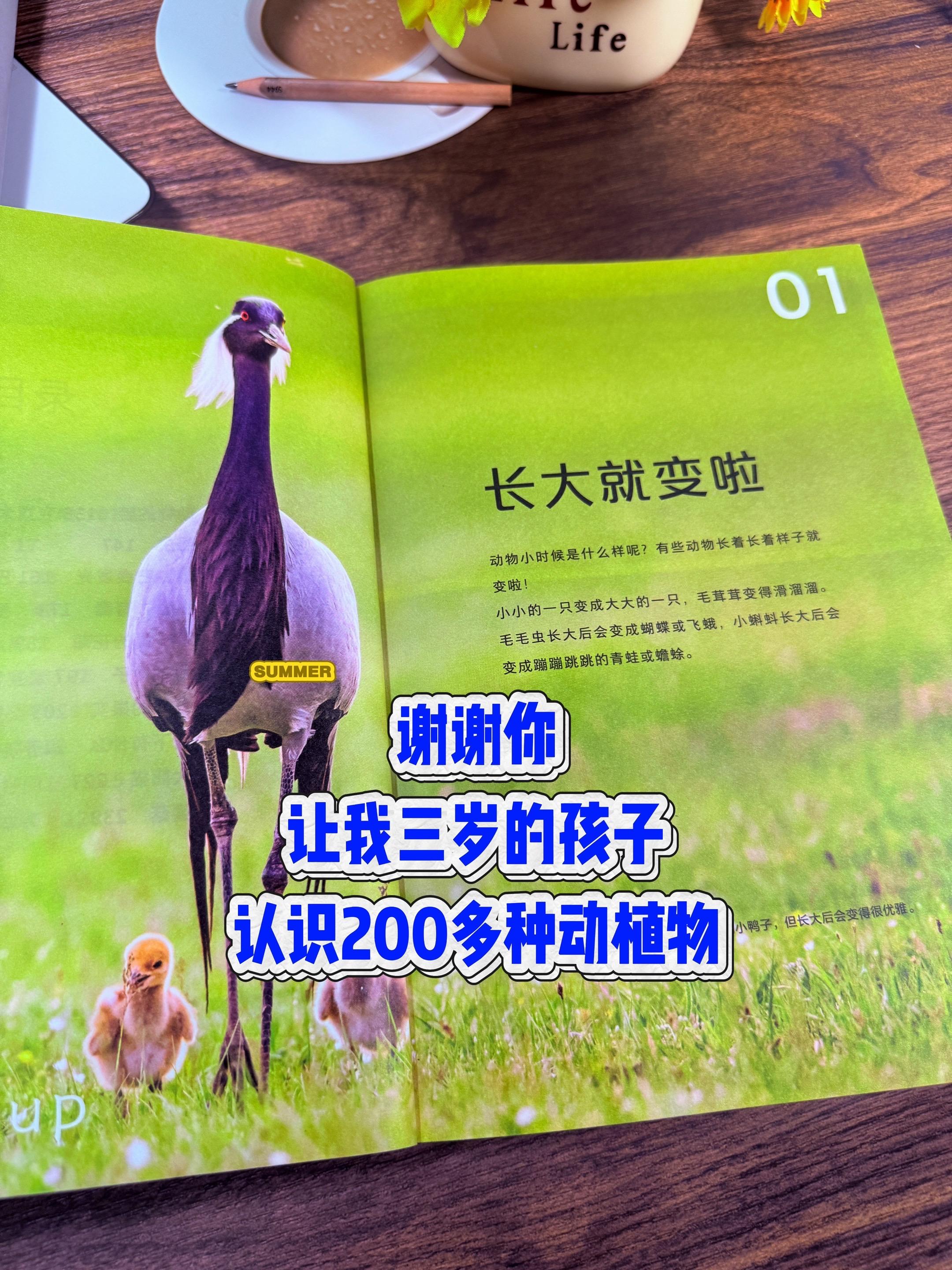 2岁就能看的动植物科普好书🔥。这本书可以说把动植物搬回了家！还请了一...