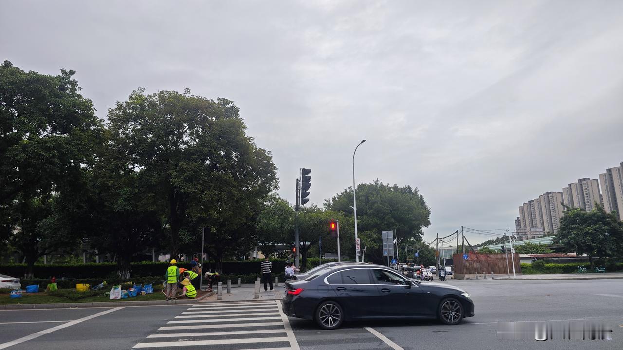 可能是南沙最近最忙的一群人，经常早上我6点多送娃上学就看到他们在辛勤劳动了，到晚