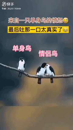 来自单身🐦‍⬛的愤怒…😡