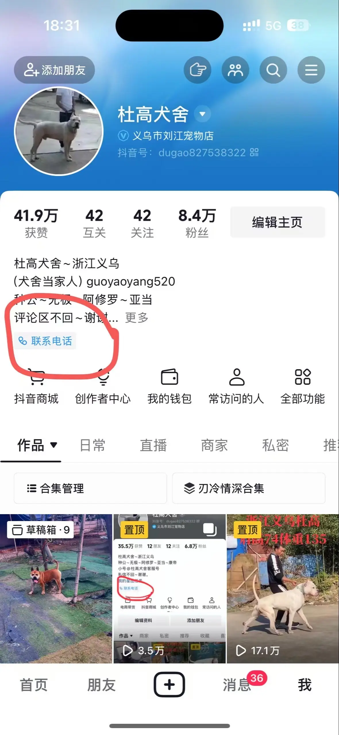 杜高犬。请赐给我力量使我能轻闲地承受欢乐与忧伤。