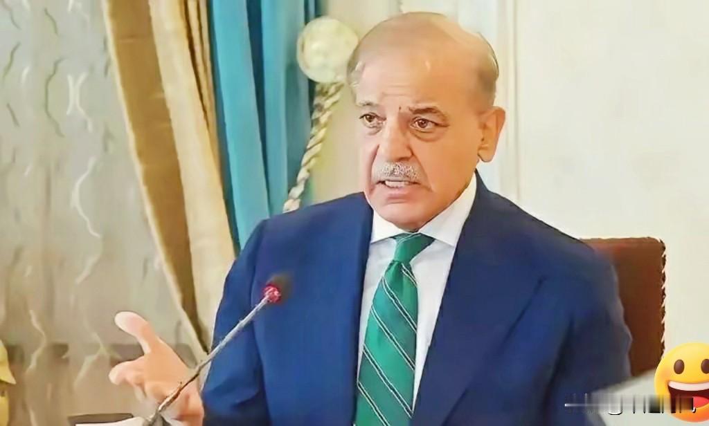 真的是比较意外，尽管当前巴基斯坦经济走廊存在一些问题，但它对巴基斯坦的发展意义重