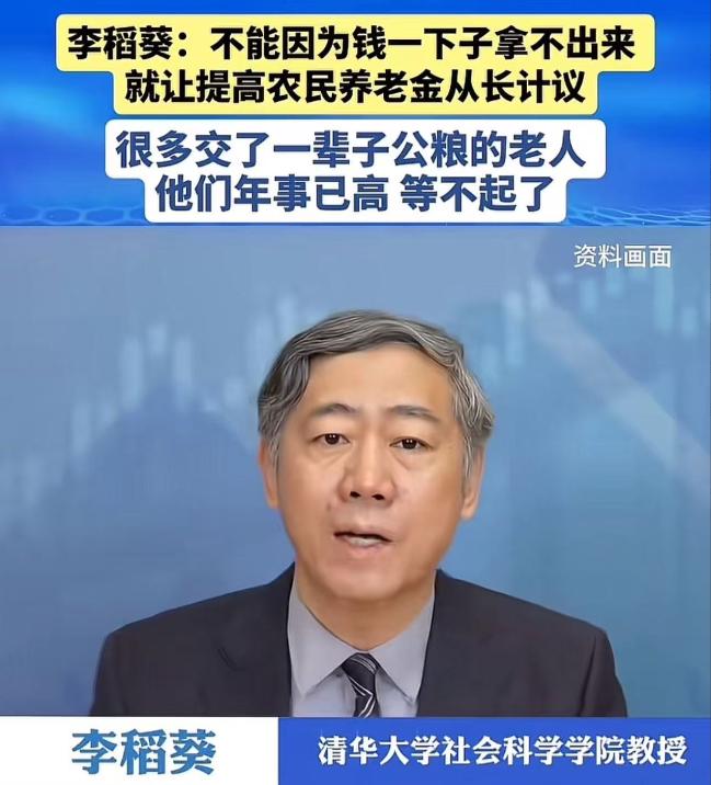 这才是真专家！李稻葵为农村老人发声：“不能因为钱一下子拿不出来，就让提高农民养老