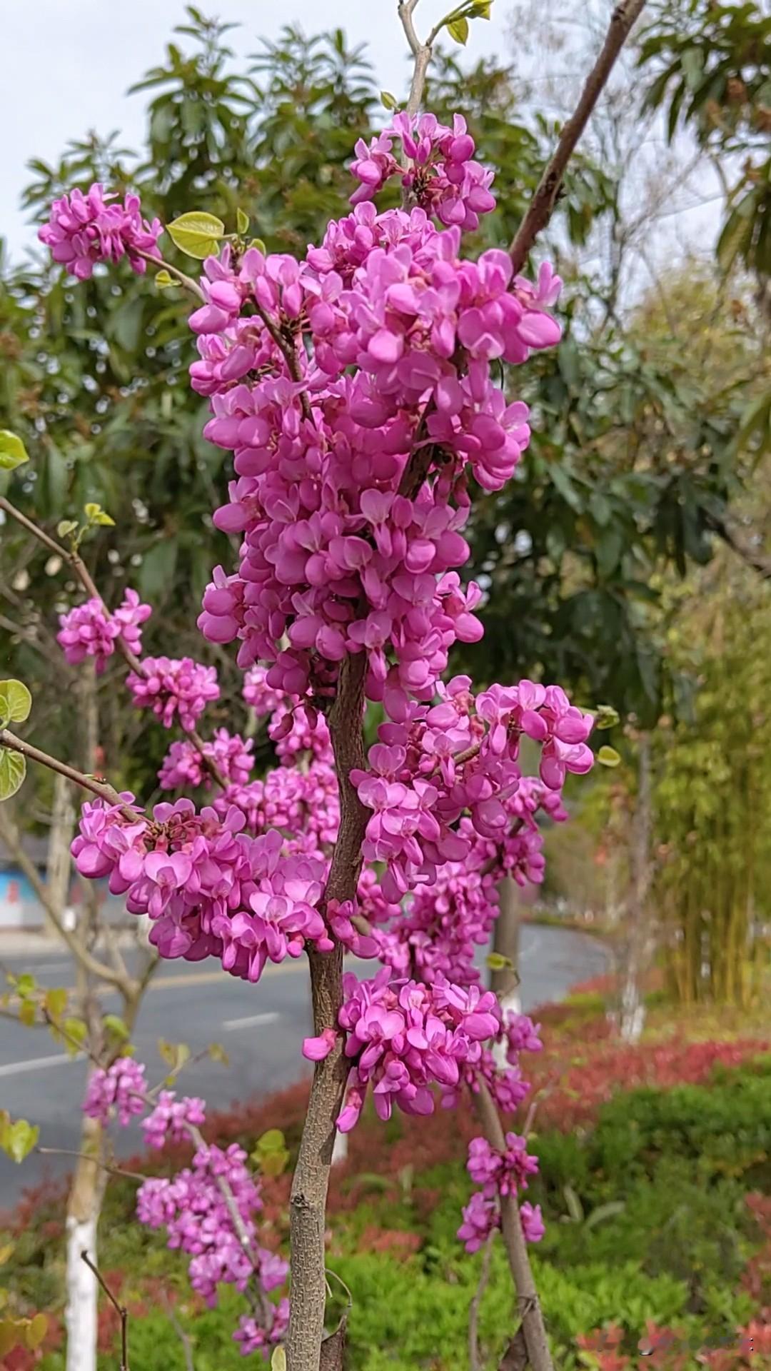 美不美