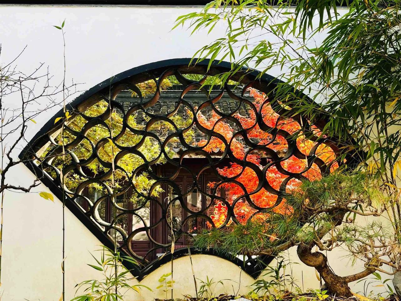 冬梅赞（


冬梅傲骨数寒天，素艳飘香亦可怜。
文墨佳人都赏恋，诗中画意寄情缘。