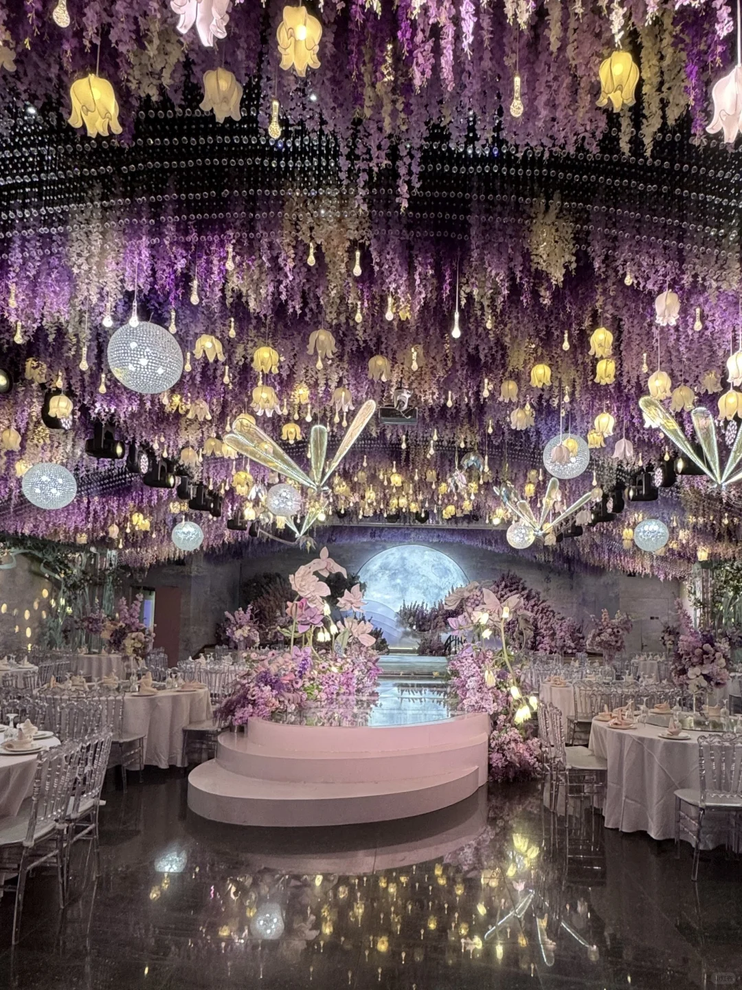 好难选啊！！两款莫奈主绝绝紫