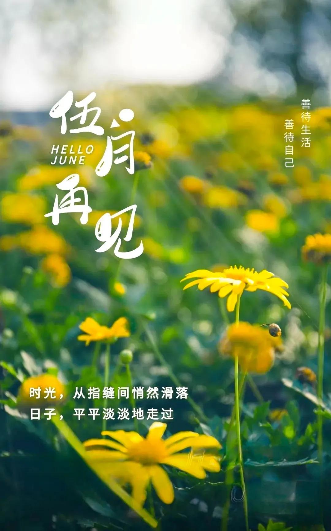 时间飞快岁月无情
日子一天一天的过
时间一秒一秒的走
我们为了生活
日复一日的努