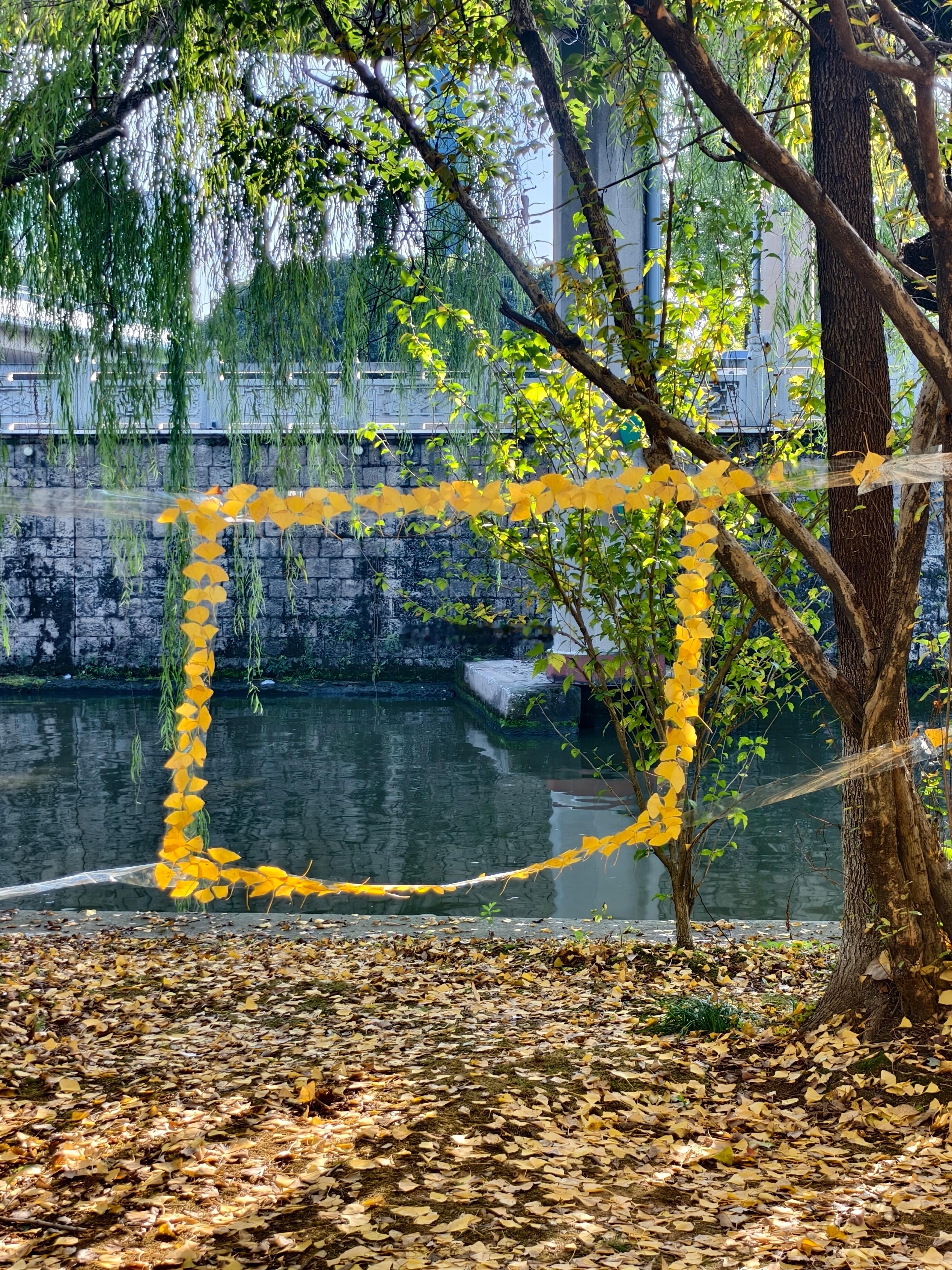 又好像没有到秋天 