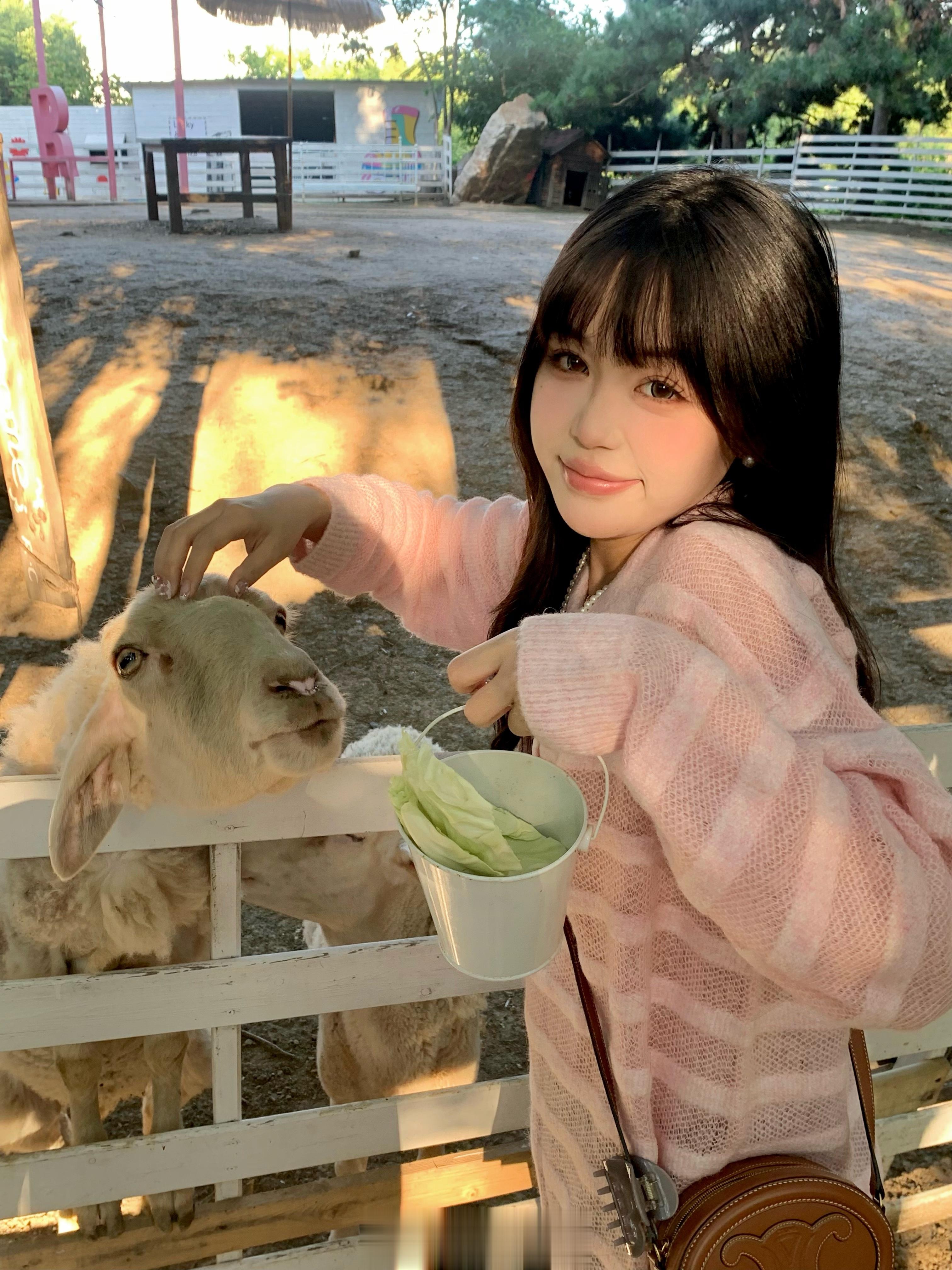 可爱羊羊🐑（不咬人版本） ​​​