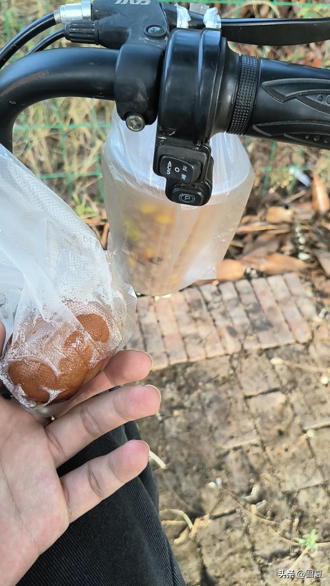 搞笑聊天方式认证作者激励计划 带梗聊天
