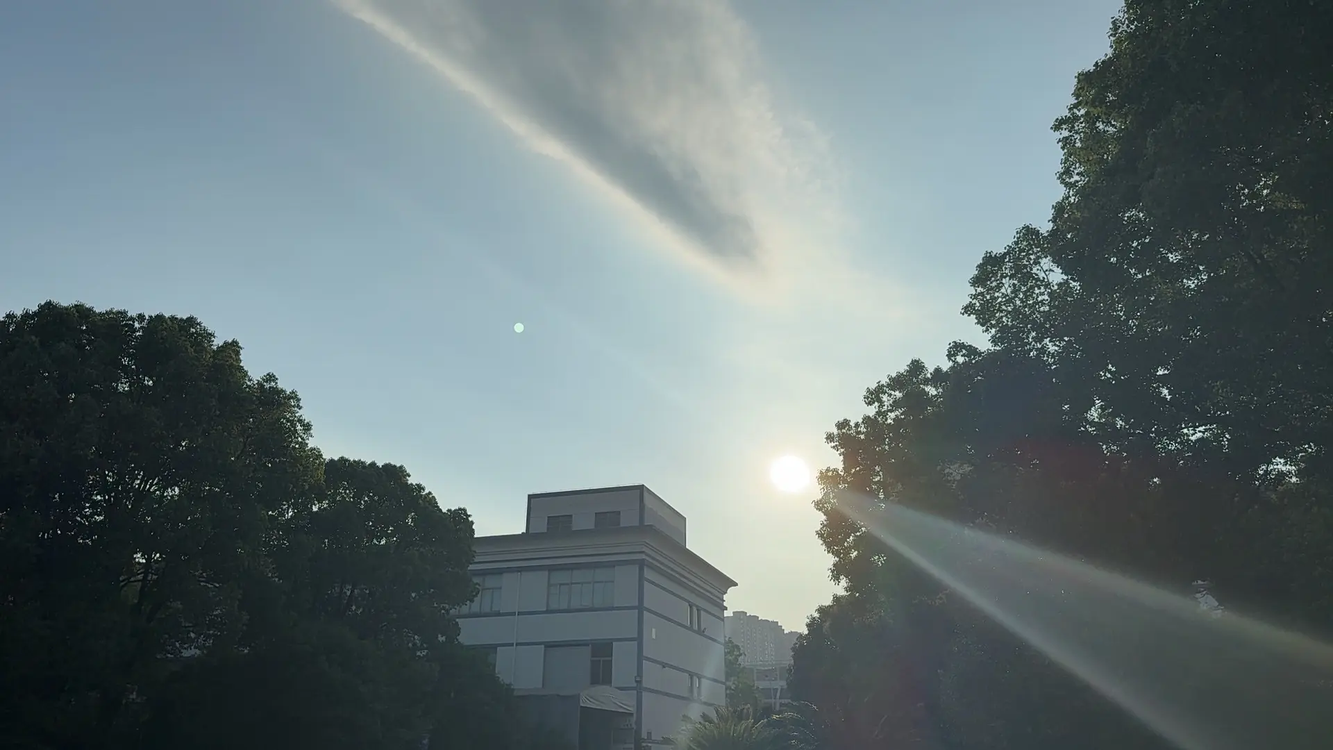 什么都原谅的话 痛苦就是咎由自取。