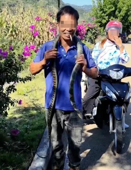 太惨了！贵州，男子收割稻谷，发现有条黑蛇，他把蛇抓住后，被经过的弟弟看到，以为是