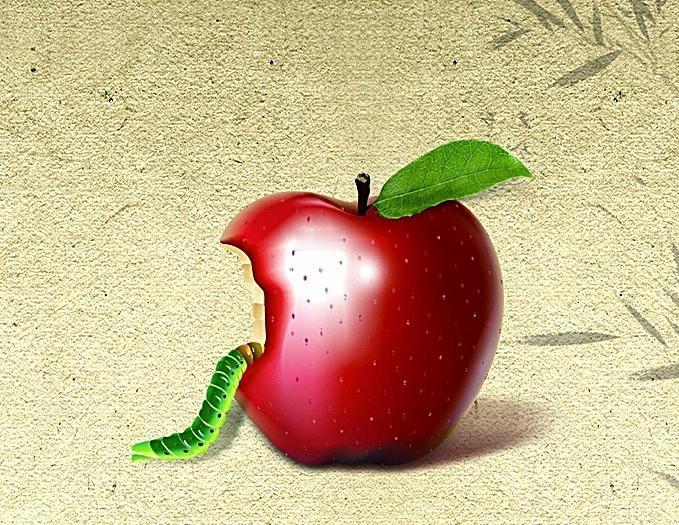 近期，我国安全机关破获一期美国重大网络攻击案，掌握美国国家安全局网络攻击入侵中国