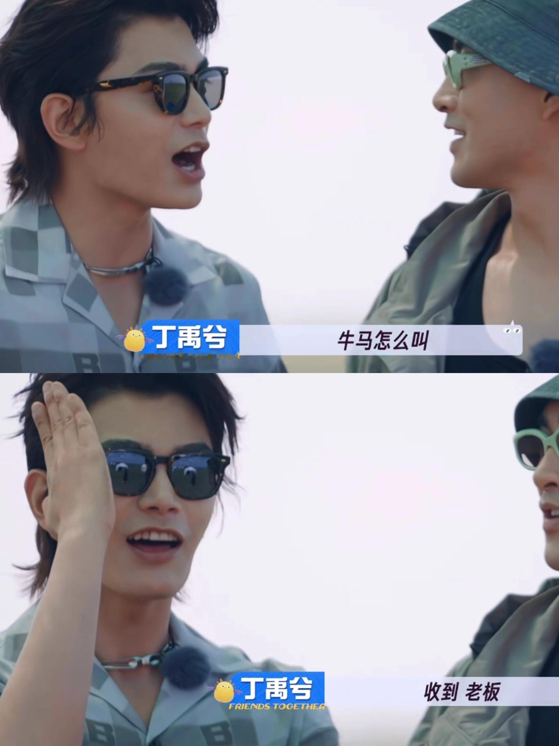 丁禹兮：牛马怎么叫？收到，老板！又好笑又心酸，丁禹兮一天天的哪来这么多梗[允悲]