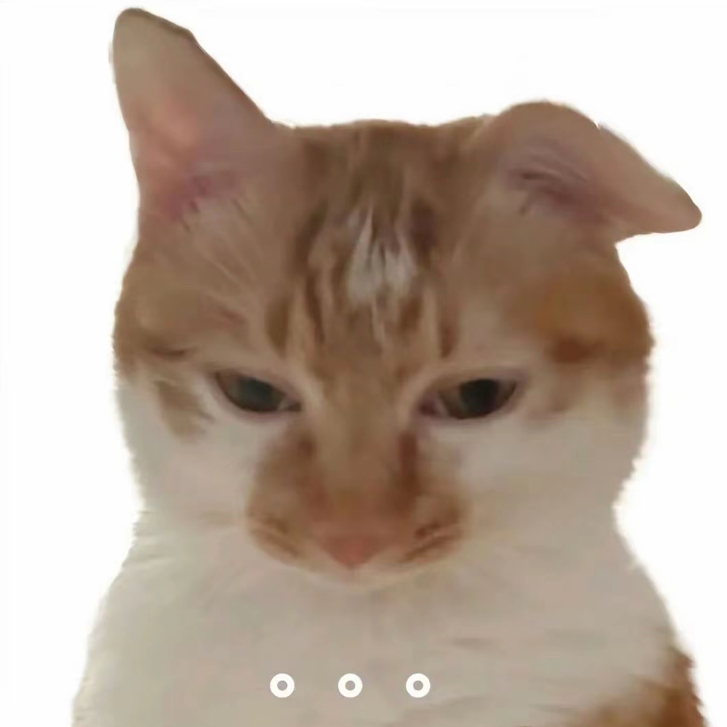 傻猫表情包🐱 