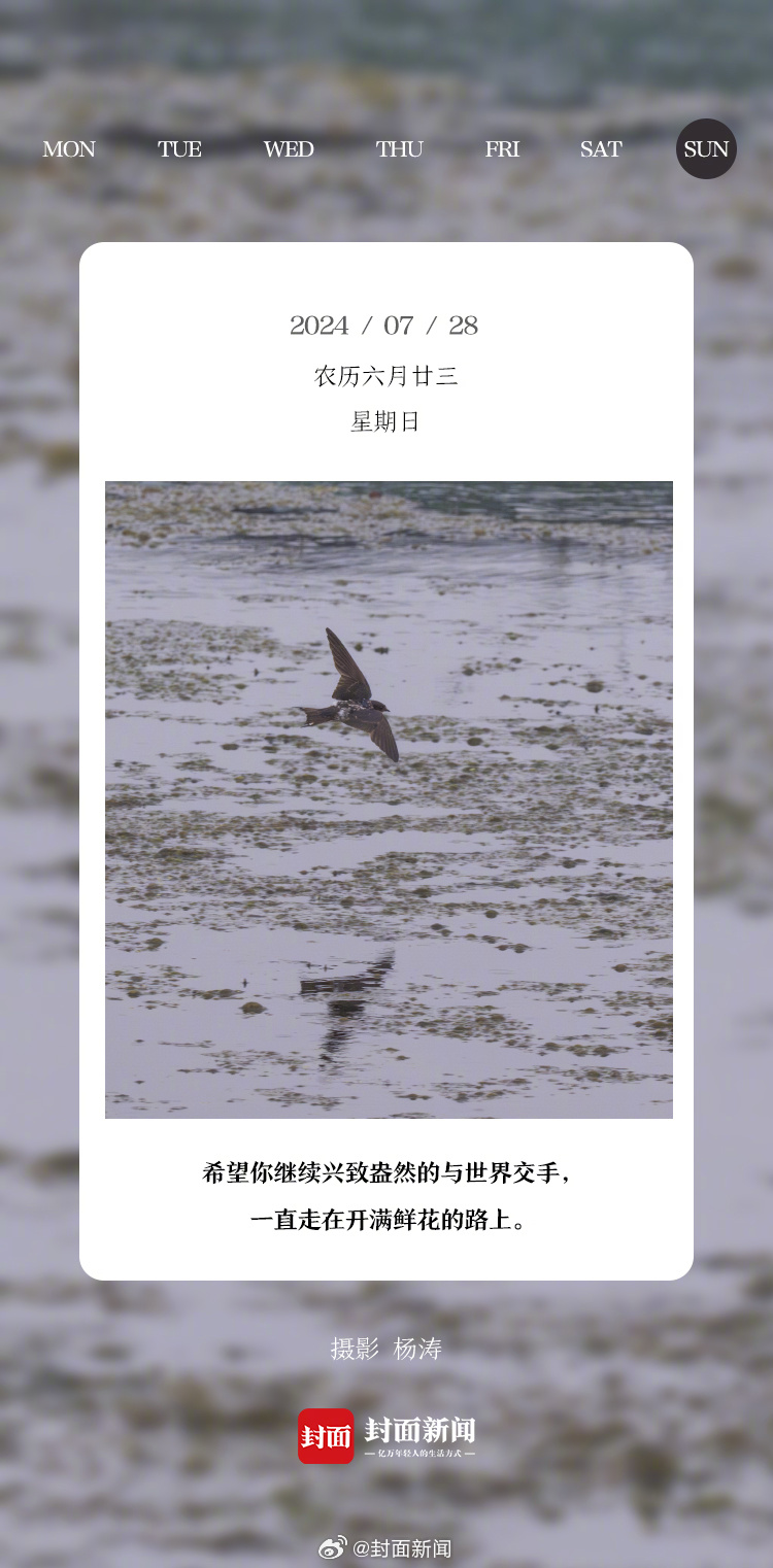 #小封日历# 早安，周天啦！今天叫醒你的是_____？[努力] ​​​