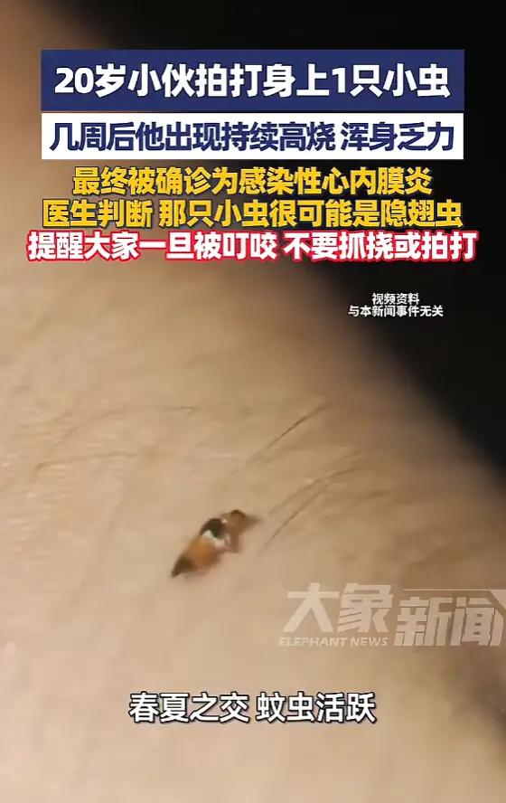 悲剧，真的没躲过！最近浙江一位小哥，随手拍掉身上的一只小虫，没想到这小动作竟引发
