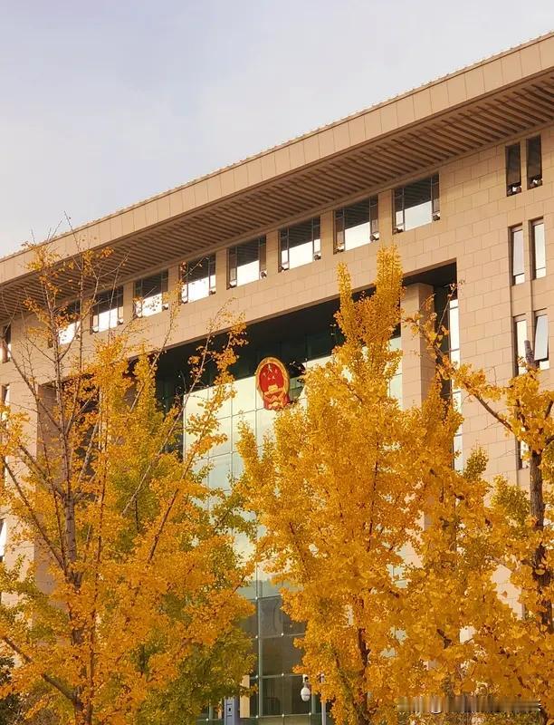 纪委是党内纪律检查机关，依据《党章》设立，受同级党委和上级纪委双重领导，监督全体